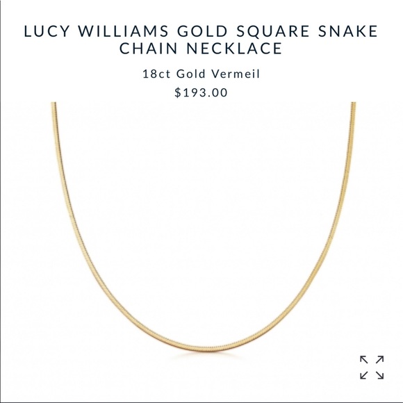 Lucy Williams Gold Square Snake Chain 